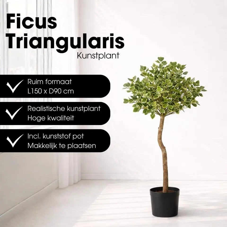 Mica Decorations Ficus Triangularis H150 x &Oslash;90 cm Groen