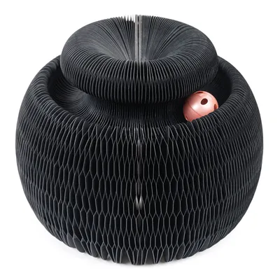 Canadian Cat Company Scratching Toy Champi