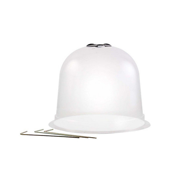 Cloches à salades plastique - Lot de 6