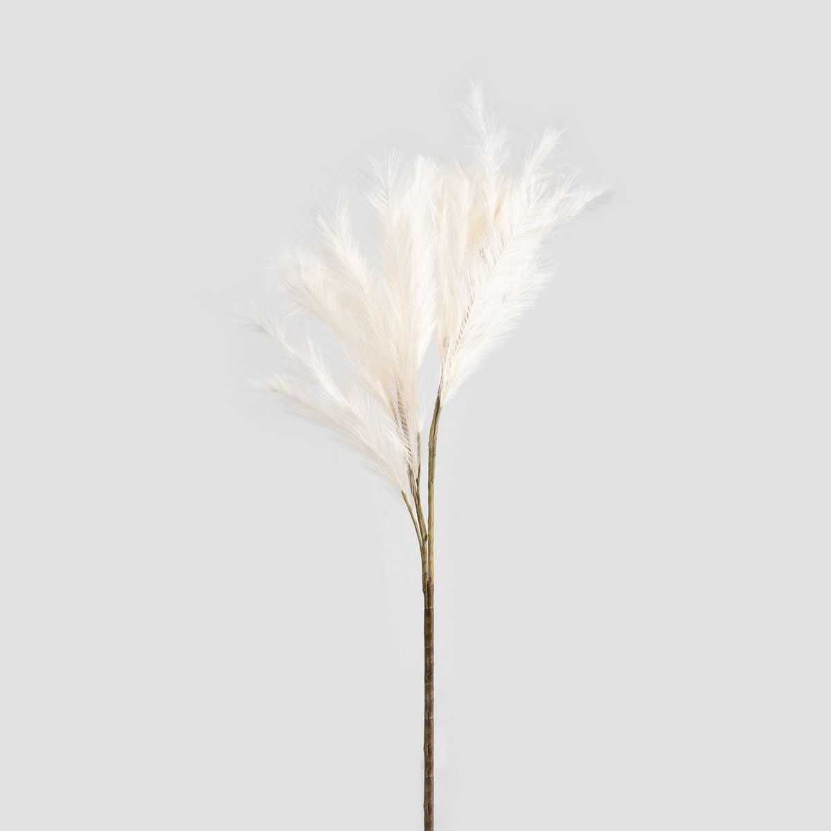 Gałązka sztuczna CANNE ecru 100 cm