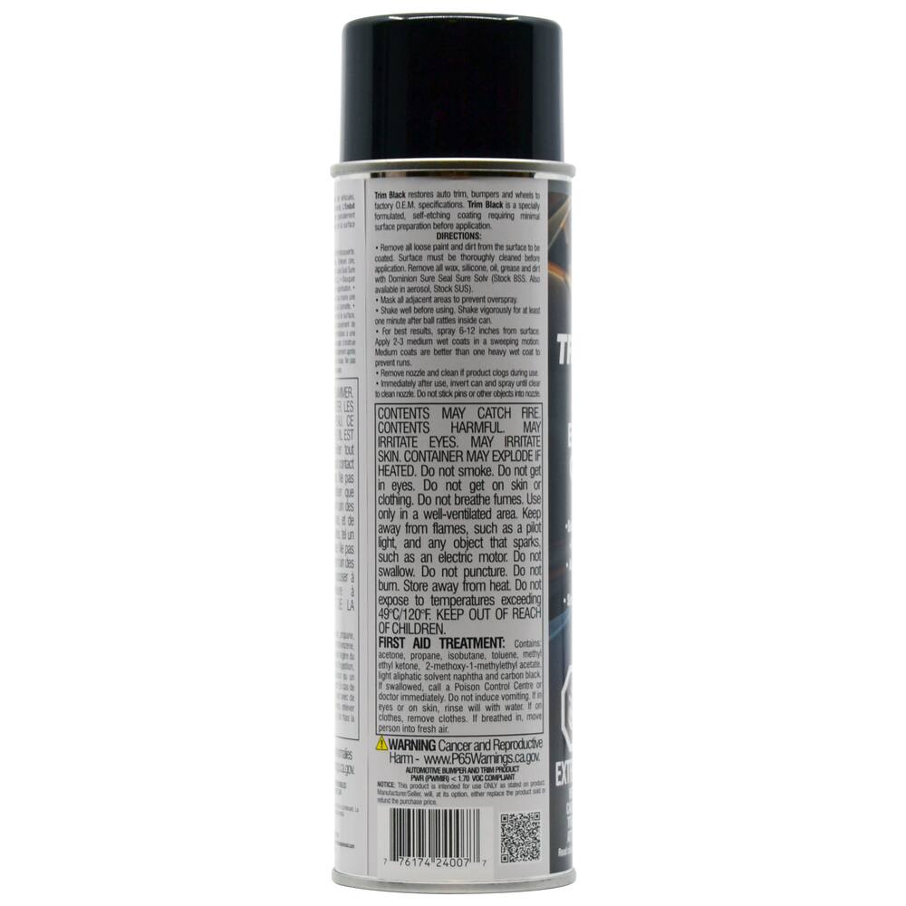 Dominion Sure Seal Trim Black Flat Paint, 425-g