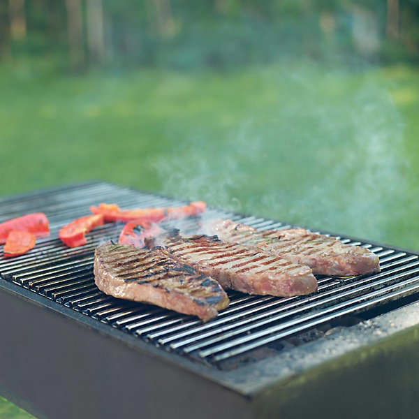 Grille de barbecue BBQ avec double manche dimension 60x40cm en acier inoxydable