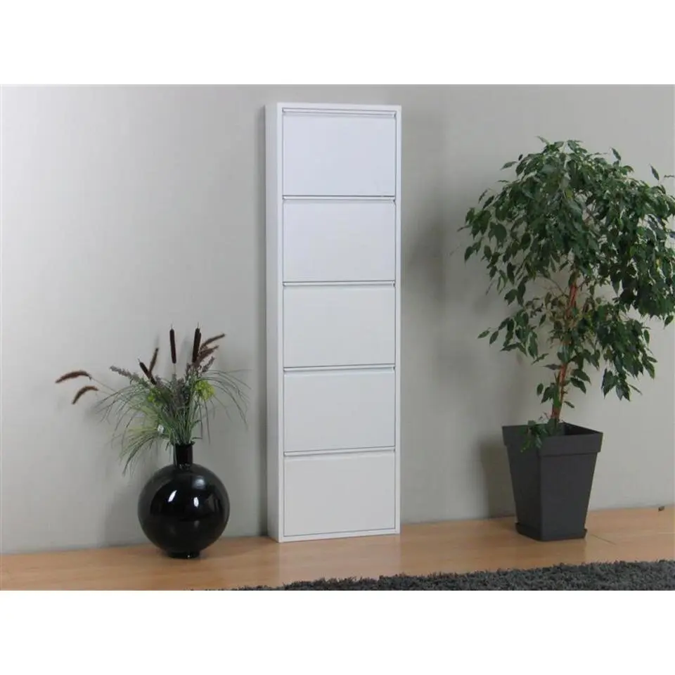 Hioshop Pisa schoenenkast wit metaal met 5 vakken