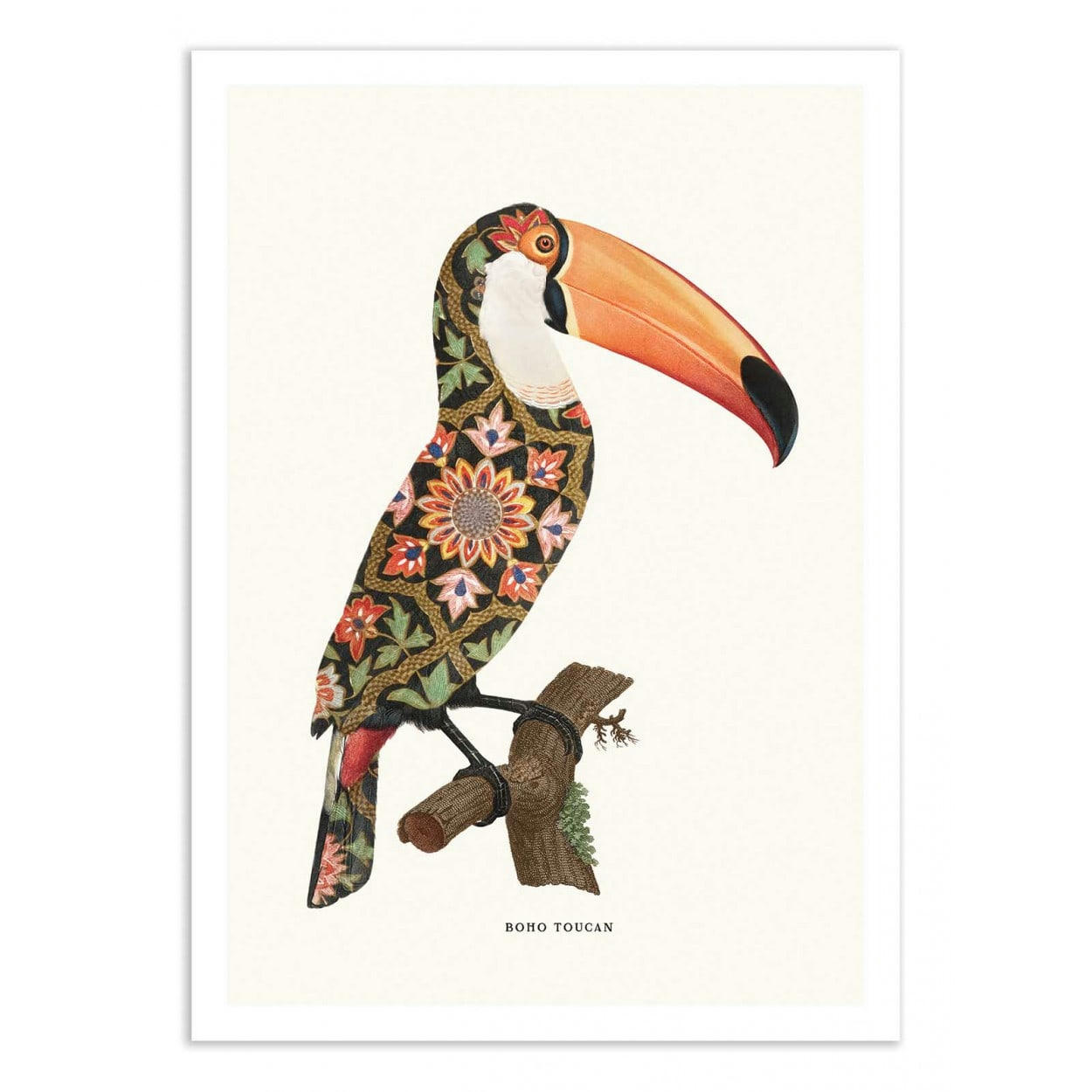 JONAS LOOSE - BOHO TOUCAN - Affiche d'art avec Cadre bois noir - 50 x 70 cm