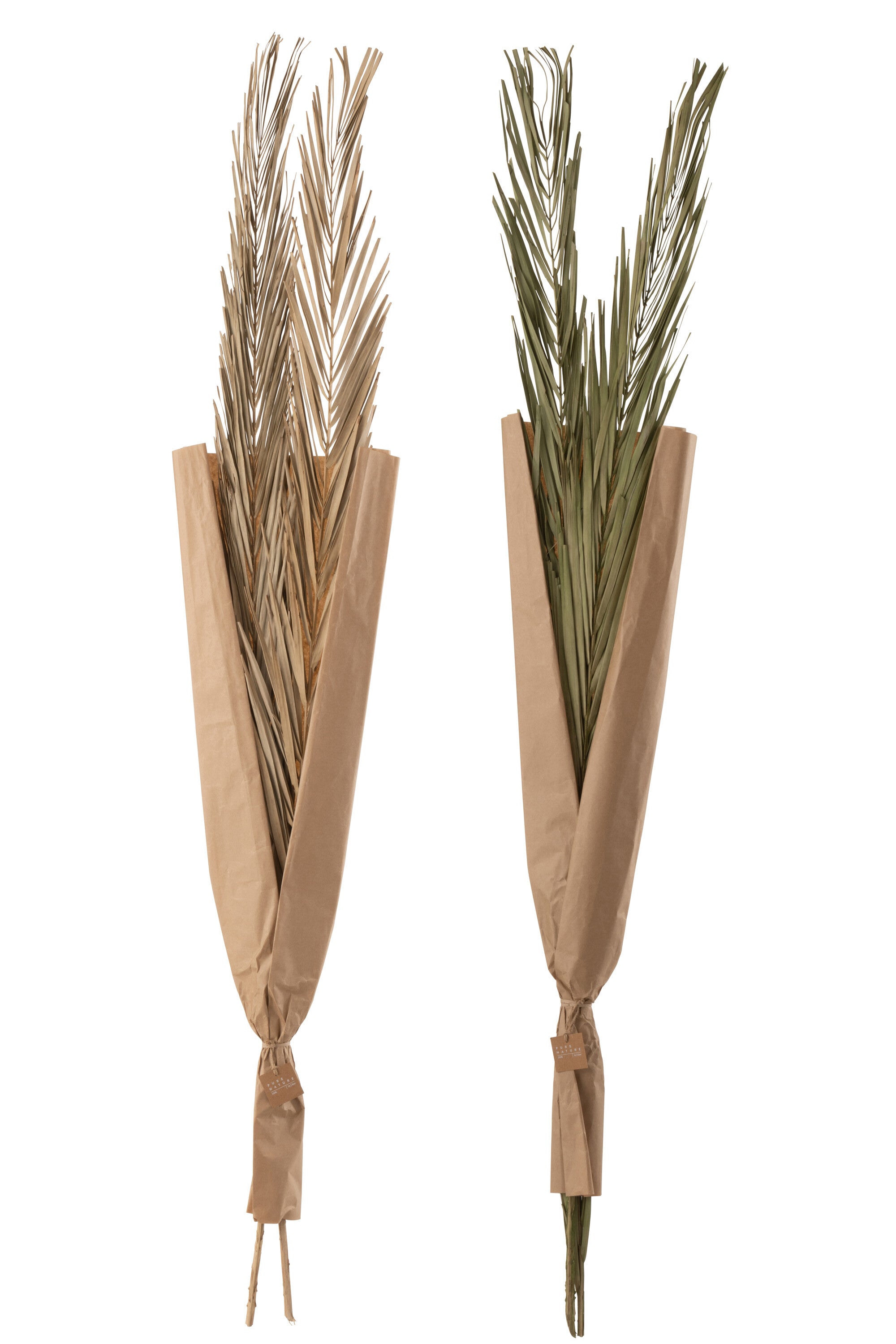 J-Line droogbloemen - Bladeren Khajur - groen - 2 stuks