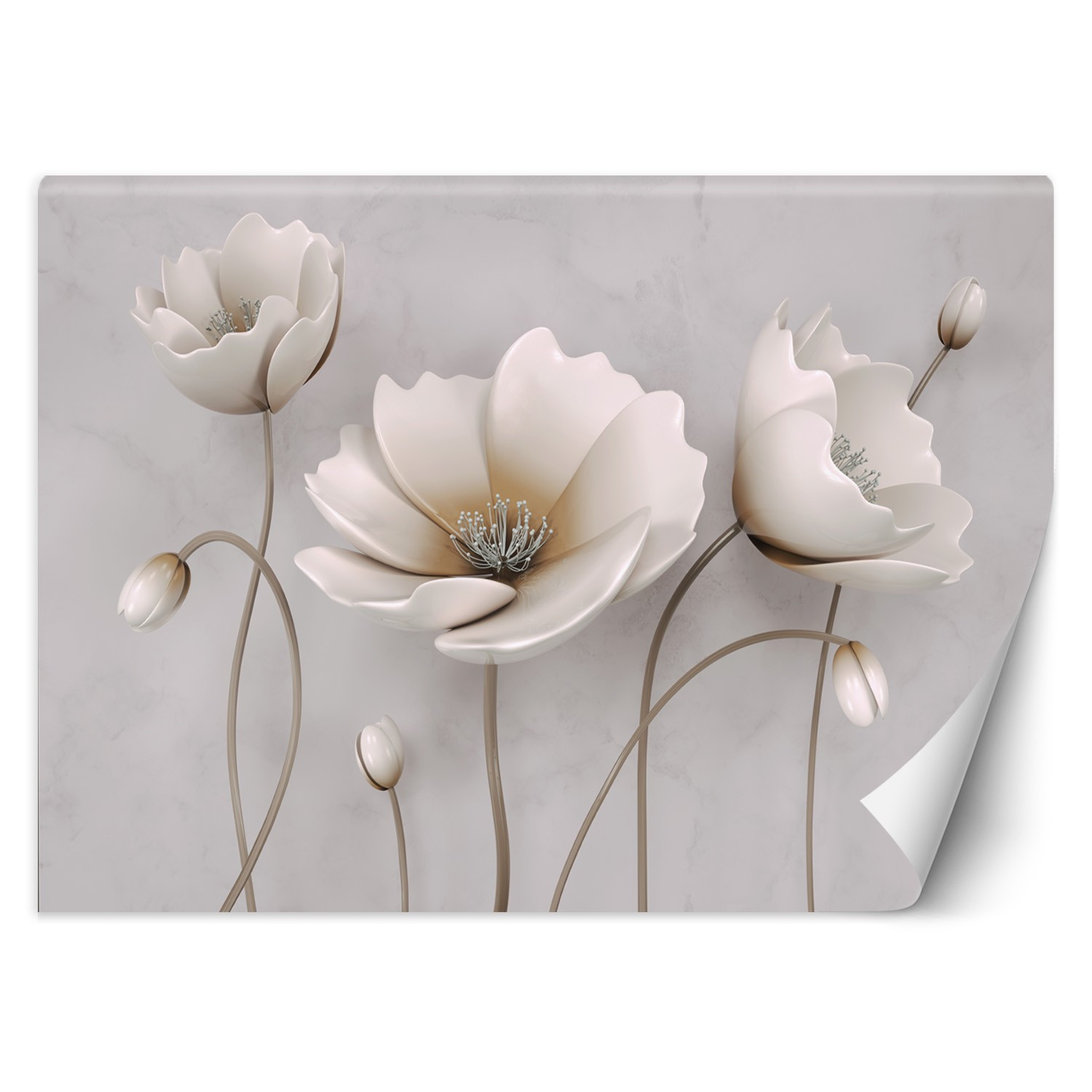 Feeby Fototapeta, Abstrakcyjne kwiaty 3D 150x105