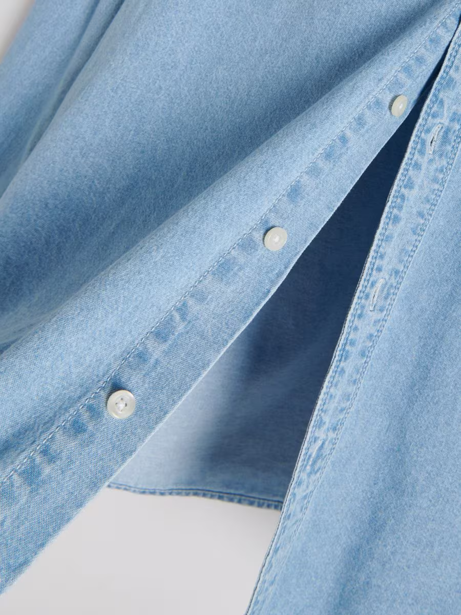 Regular Fit Denim Shirt