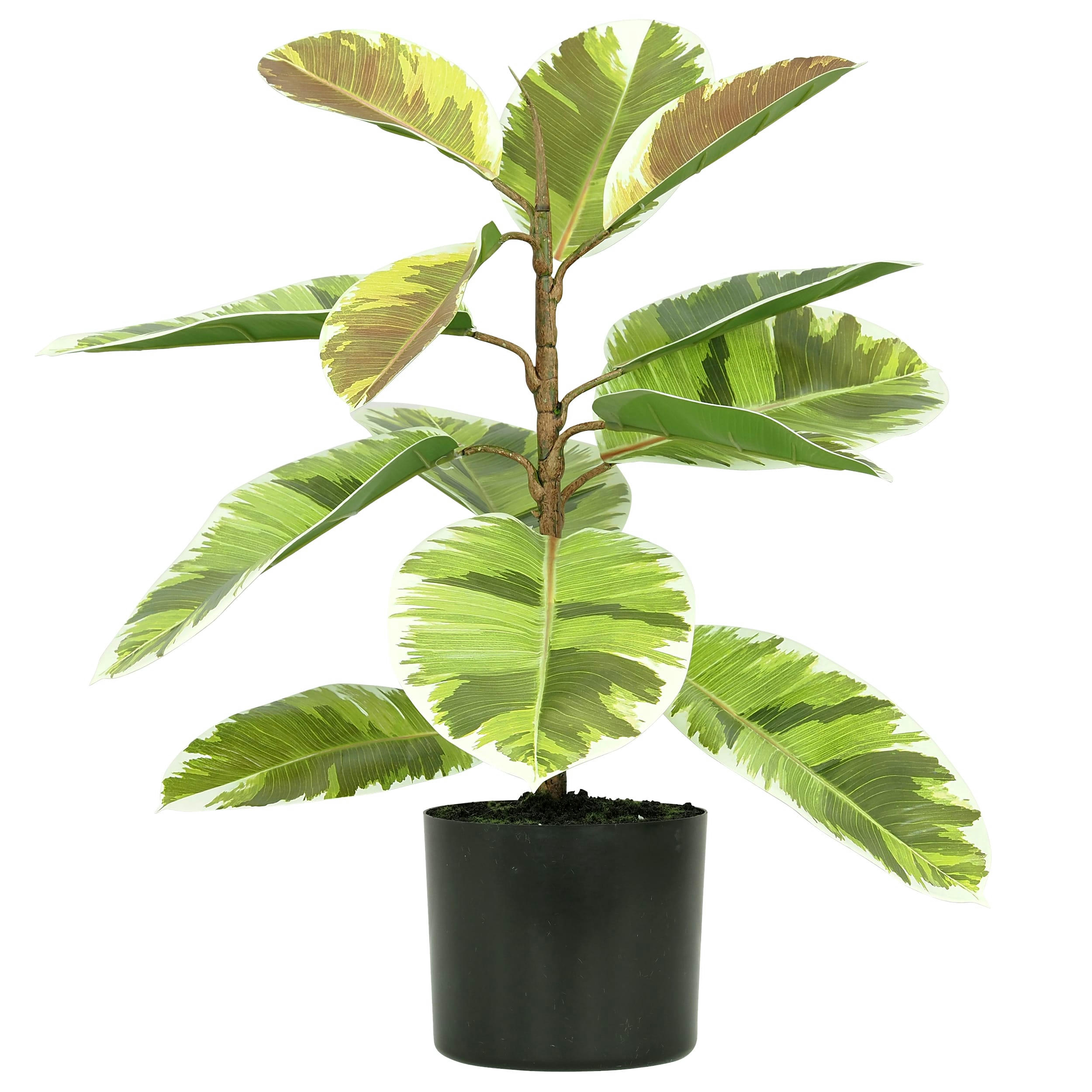 - Plante verte artificielle caoutchouc 65cm