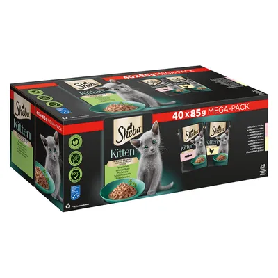 Sheba Kitten Pouches Varieties 40 x 85g
