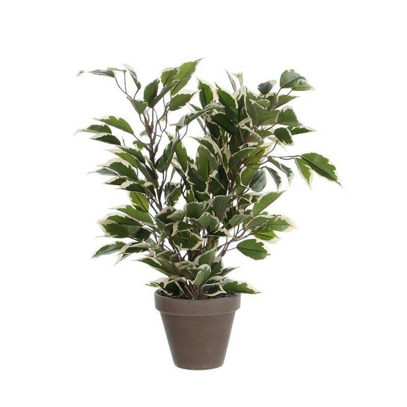 - Ficus natasja artificielle verte panaché en pot H40