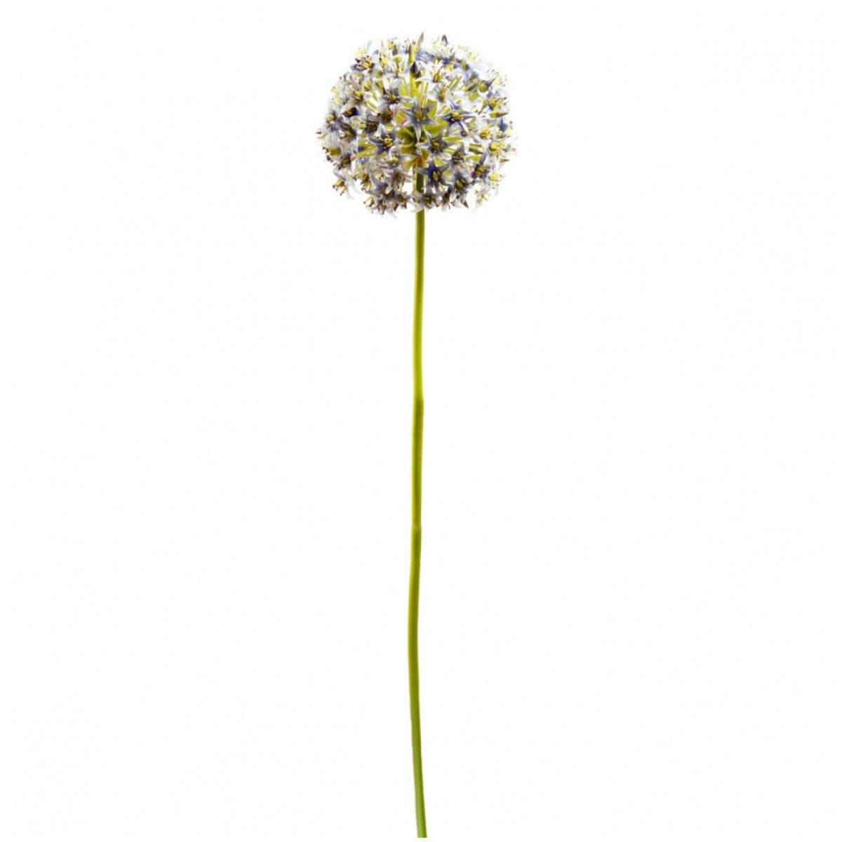 NINON - Allium artificiel Ninon