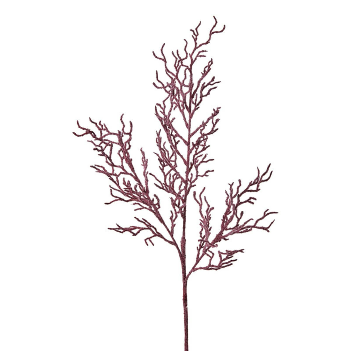 - Branche de brindilles embrumées H76