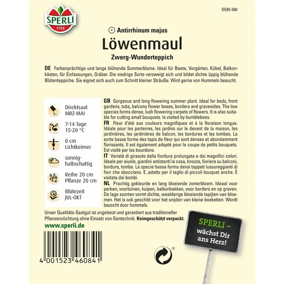 Löwenmäulchen »Zwerg-Wunderteppich«, einjährig, üppiger Blütenteppich, Höhe ca. 20 cm