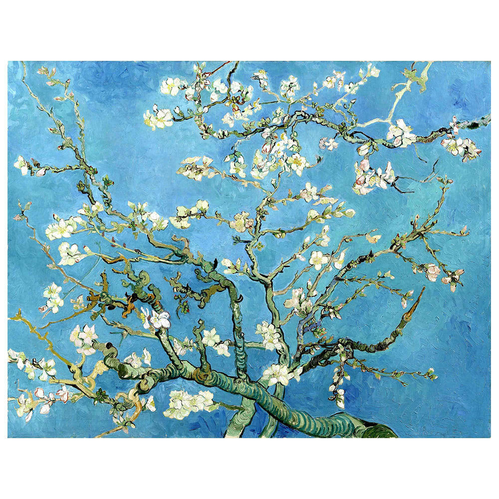 - Tableau Amandier en Fleurs Vincent Van Gogh 40x50cm