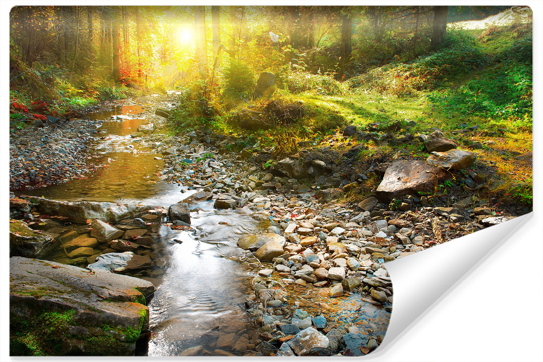 Fototapeta WODOSPAD Słońce Las Efekt 3D 90x60cm