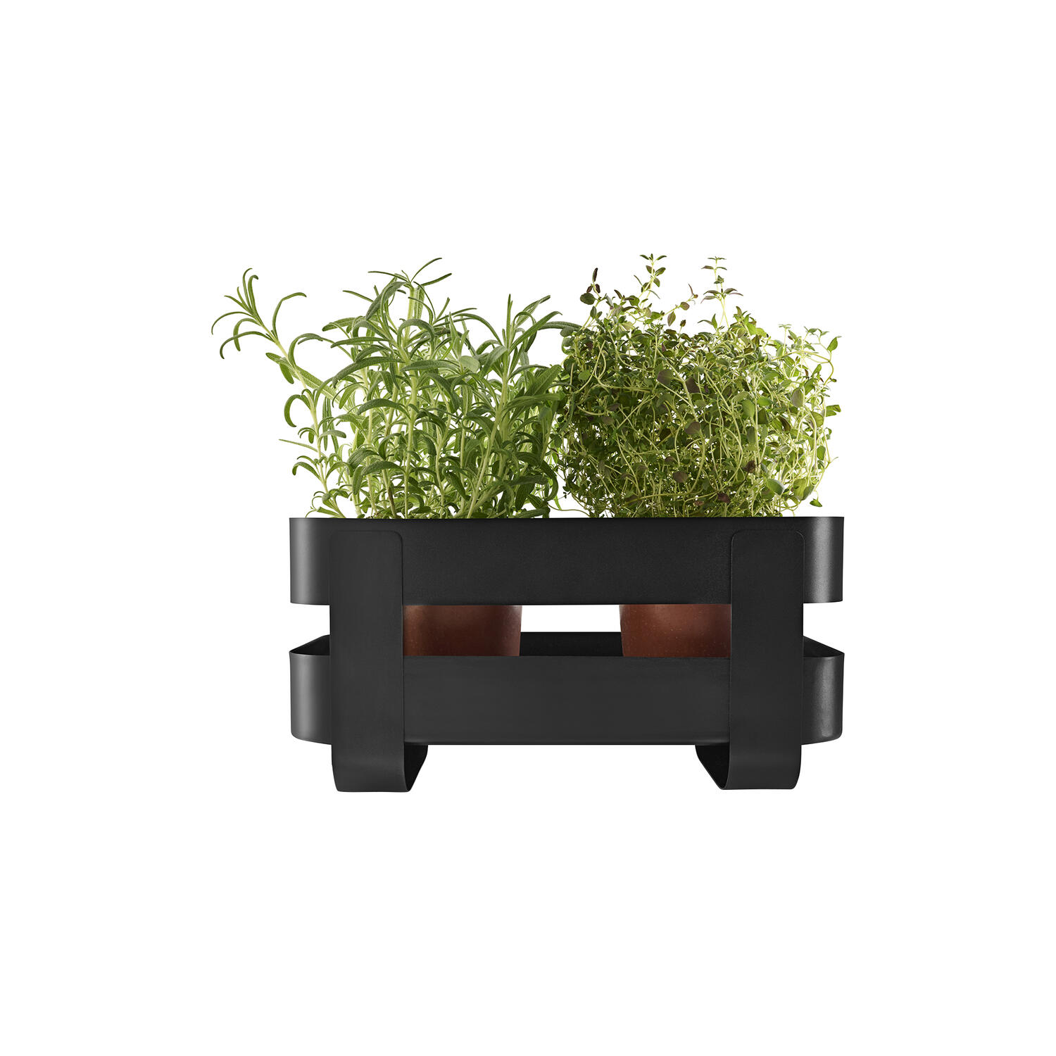 Selvvandende Herb organiser, black