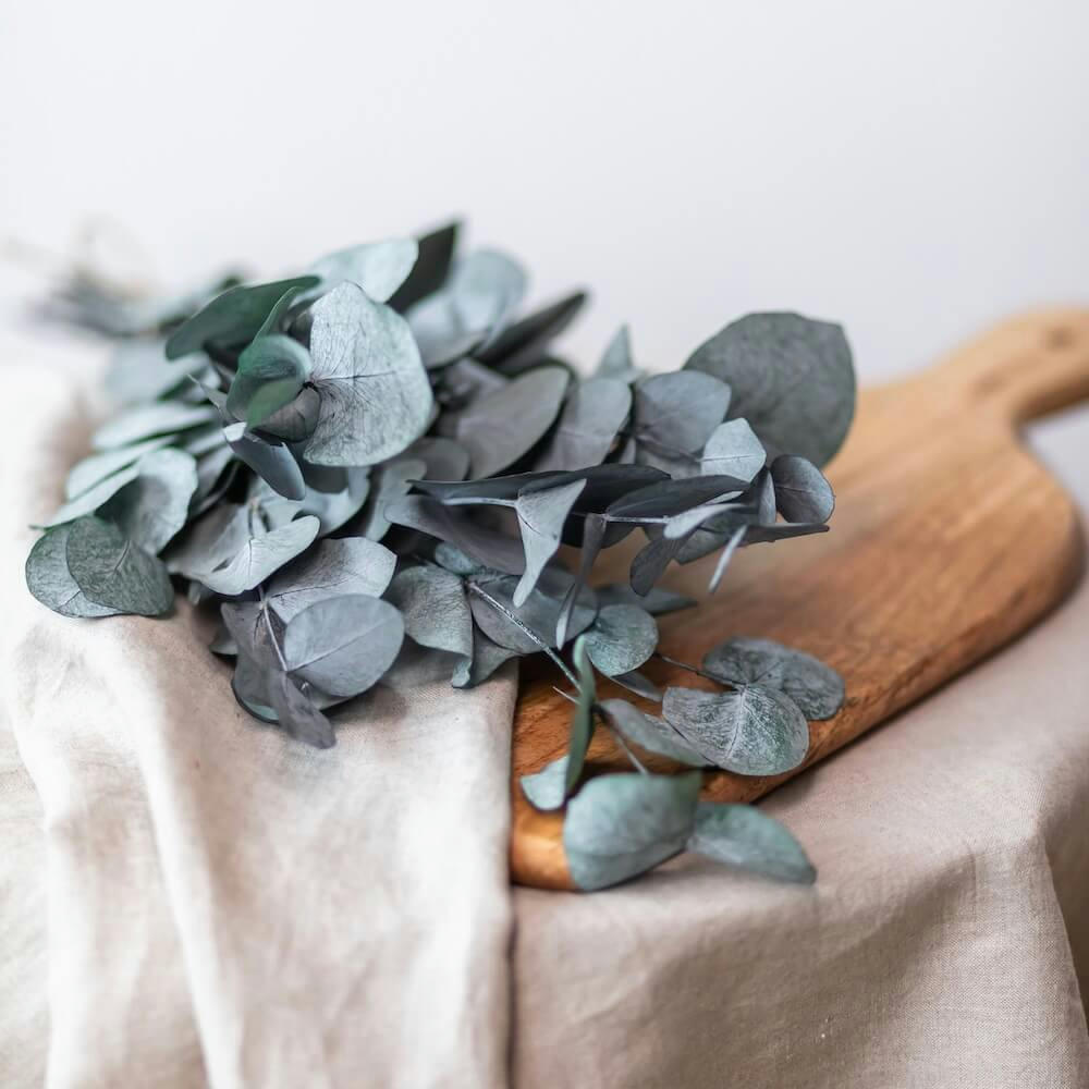 - Botte eucalyptus cinerea vert stabilisé