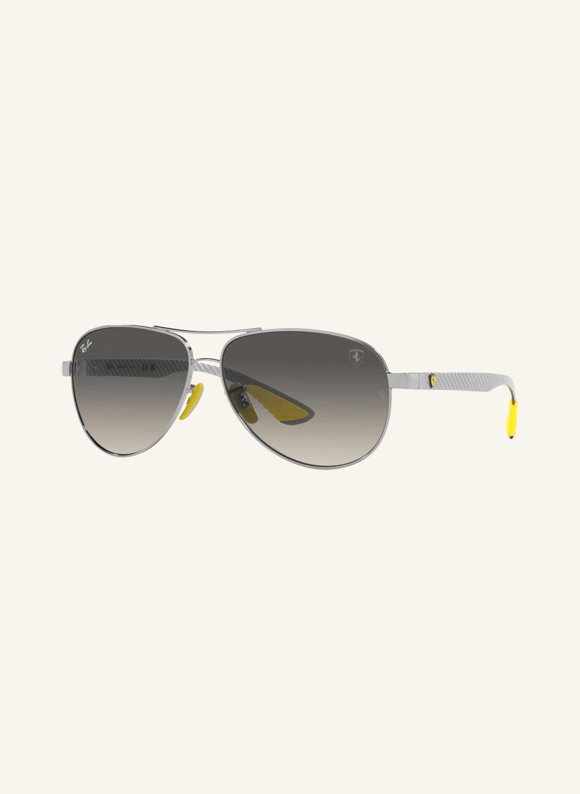 Ray-Ban Sonnenbrille RB8331