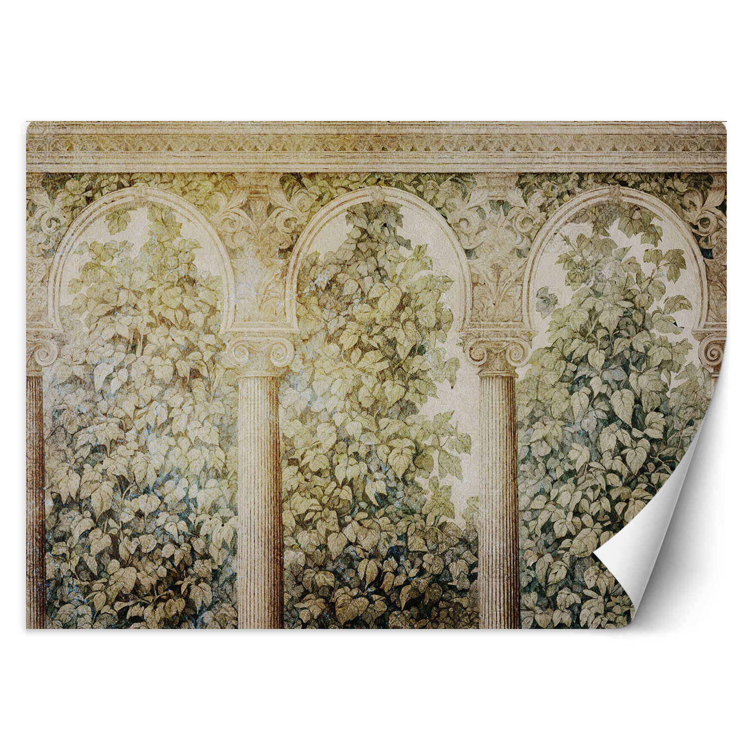Feeby Fototapeta, Kolumny bluszcz rośliny 150x105
