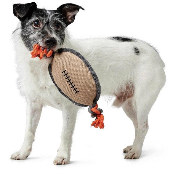 Hundespielzeug, mehrfarbig
