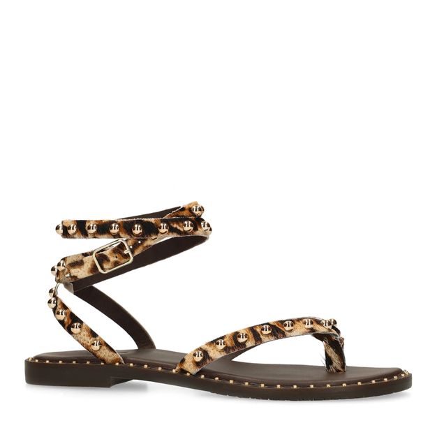 Leopard sandalen met goudkleurige studs