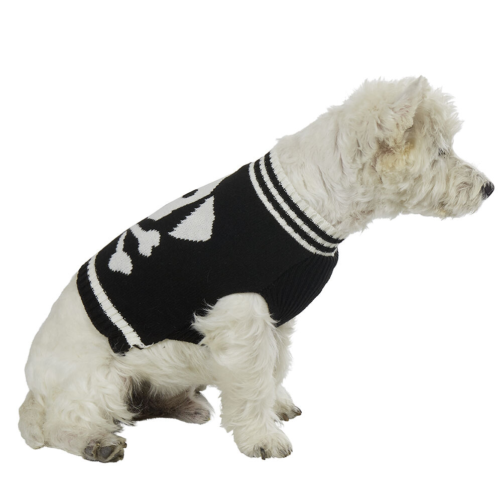 Pull motif tête de mort déguisement Halloween pour chien Taille M