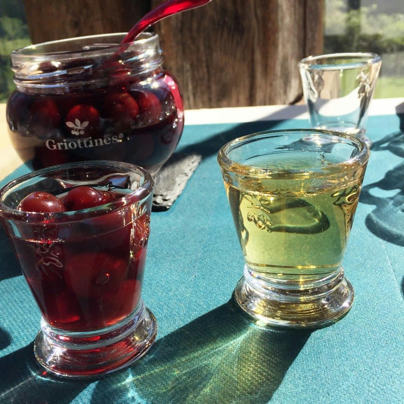 SET DE 6 SHOOTERS, ABEILLE - Verrine  en verre transparent - lot de 6