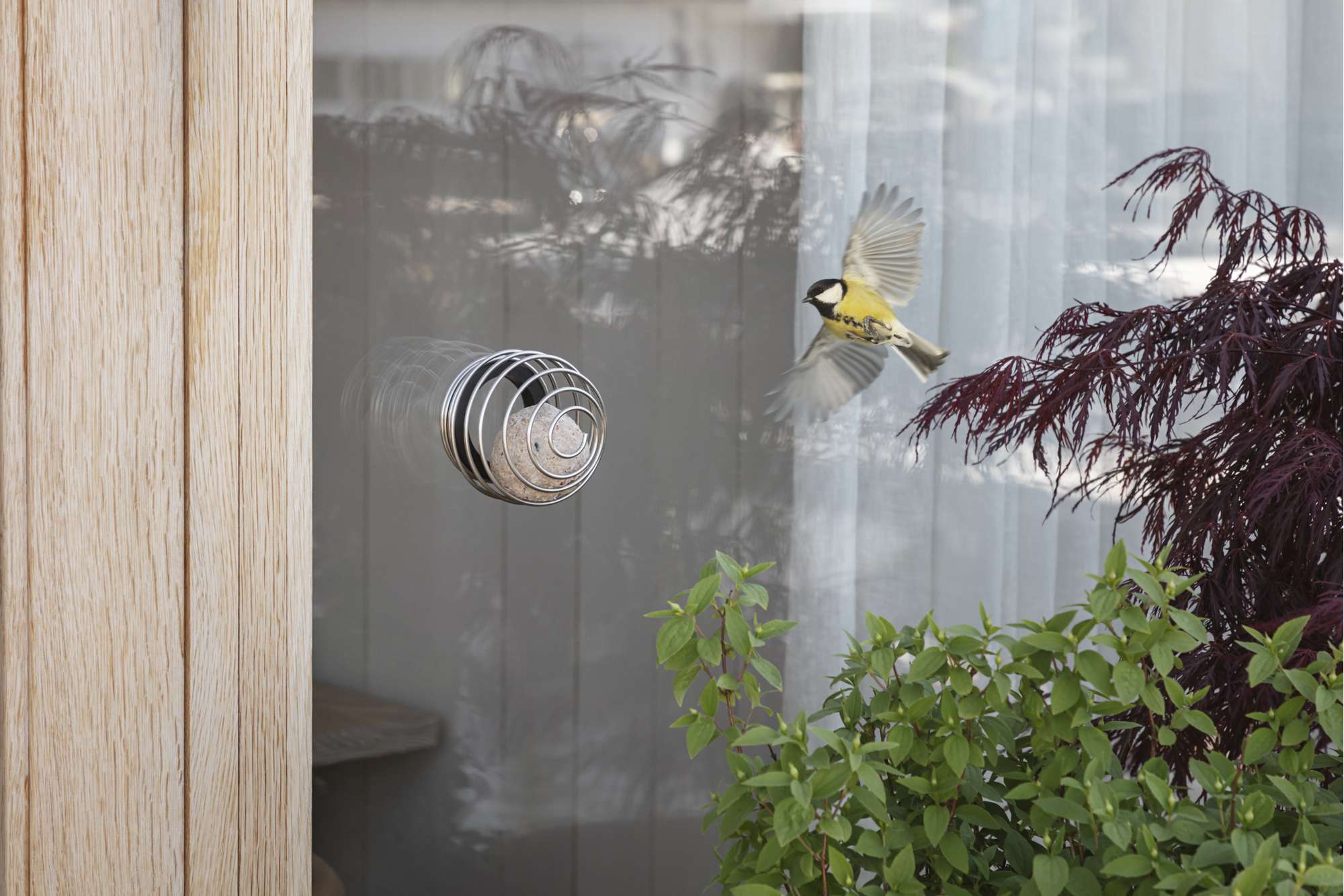 Window suet bird feeder