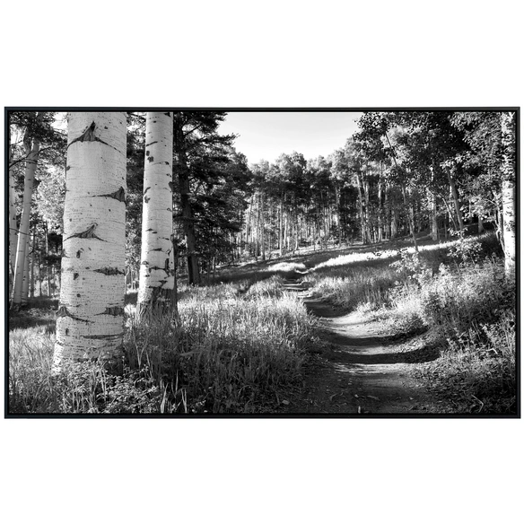 Infrarotheizung »EcoHeat - Birkenwald Schwarz   Weiss«, Matt-Effekt