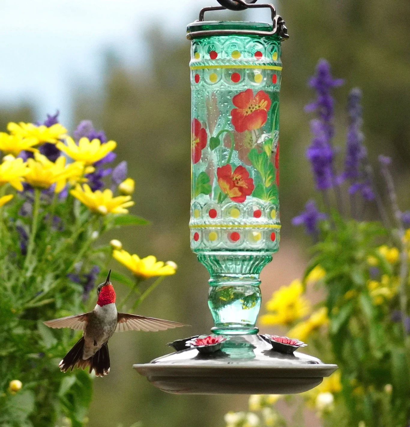 Vintage Style Glass Hummingbird Feeder | Garden Decor, Easy to clean, Copyrighted 2026