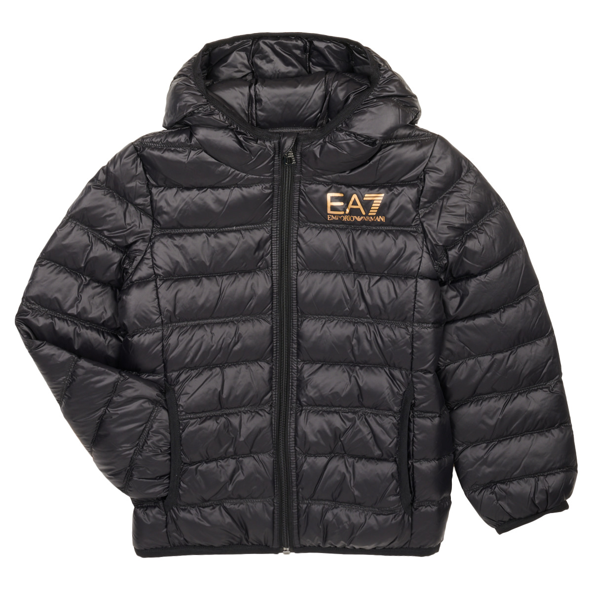 Emporio Armani EA7 - DOWN JACKET - Black