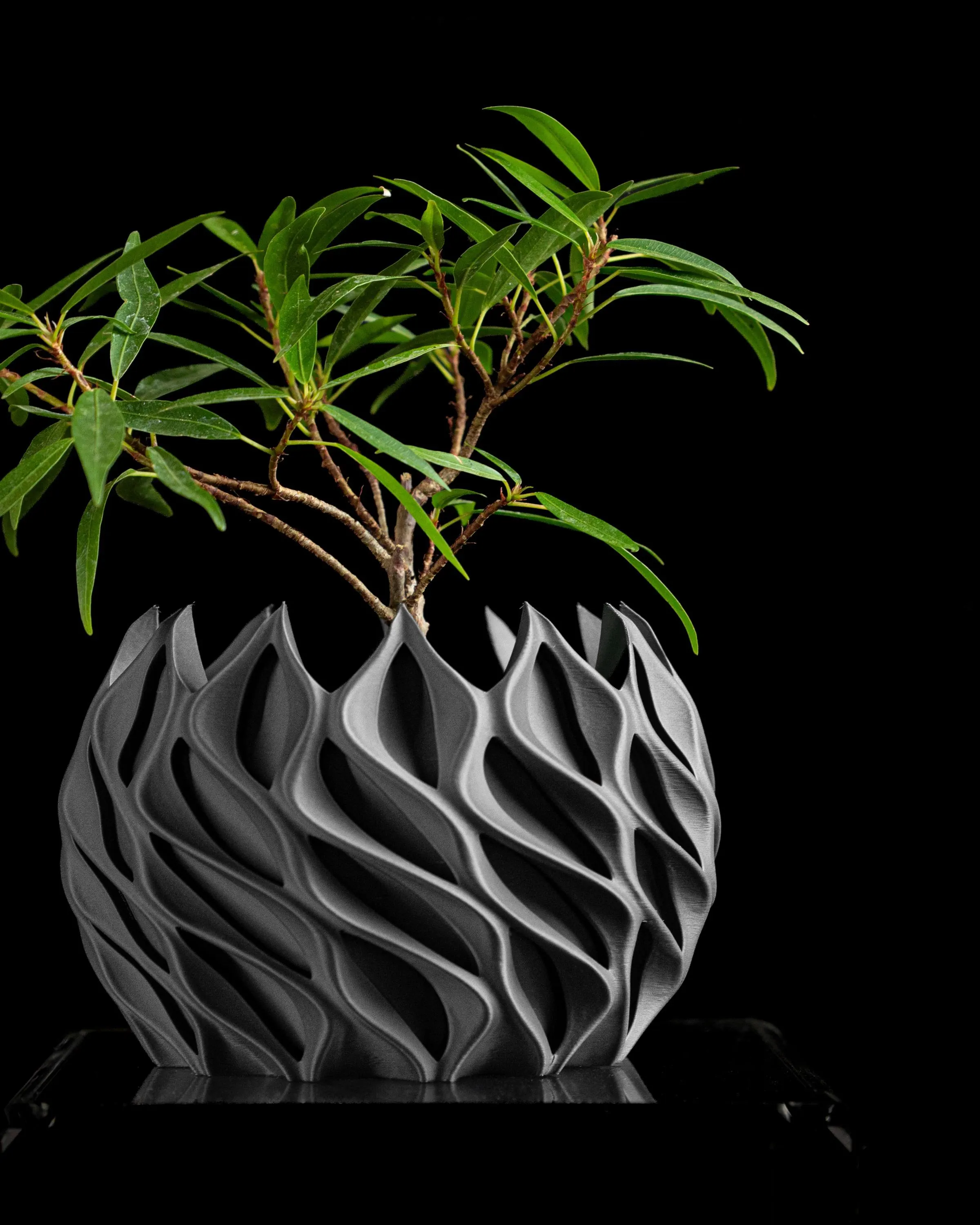 Planter Pot, Unique, Architectural Design For Workspace, Modern Succulent Display, Space Accent, Geometric Design
