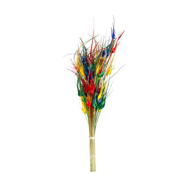 FOLHAGEM ESTRELA