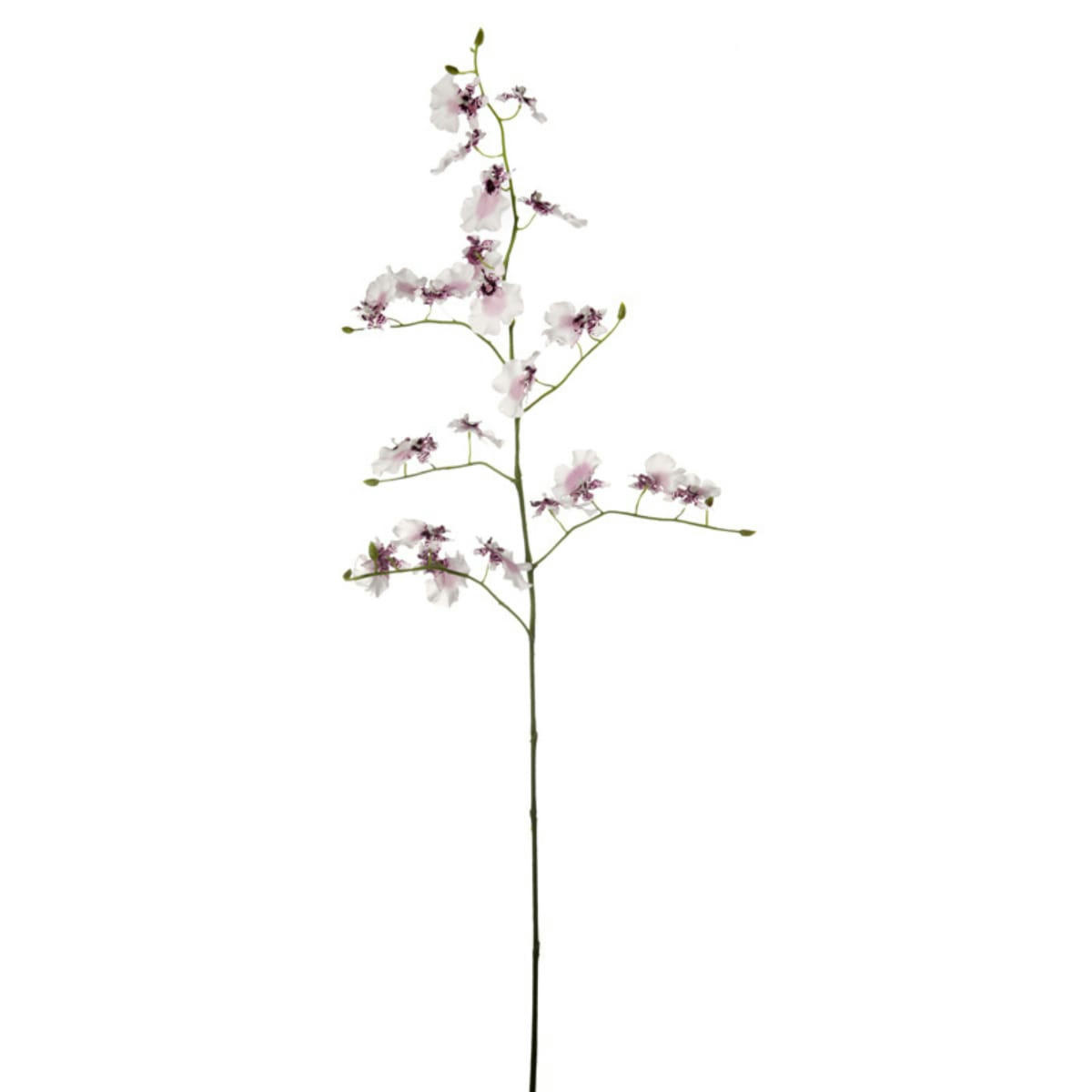 - Orchidée artificielle blanche et mauve H140