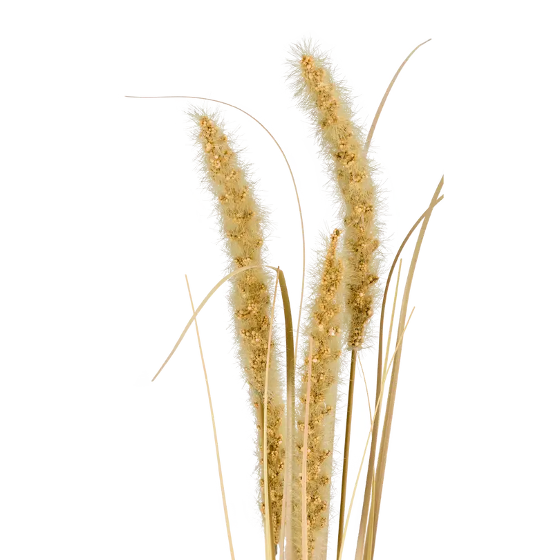 Dekozweig Dried-Grass