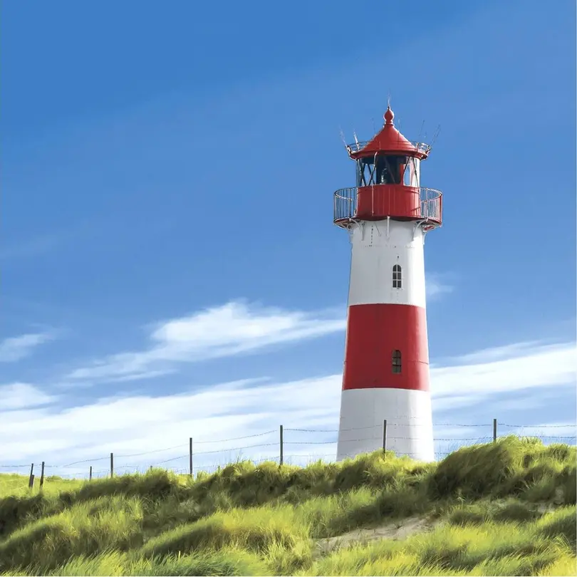 Serviette 20er-Set Lighthouse