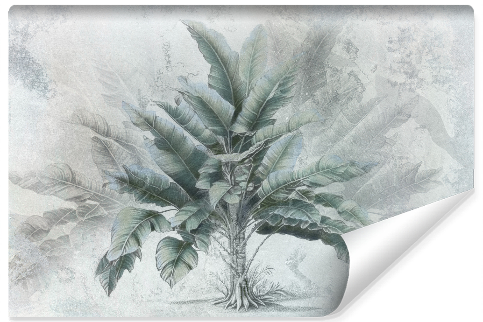 Fototapeta Abstrakcyjne Drzewo Bananowe 90x60cm