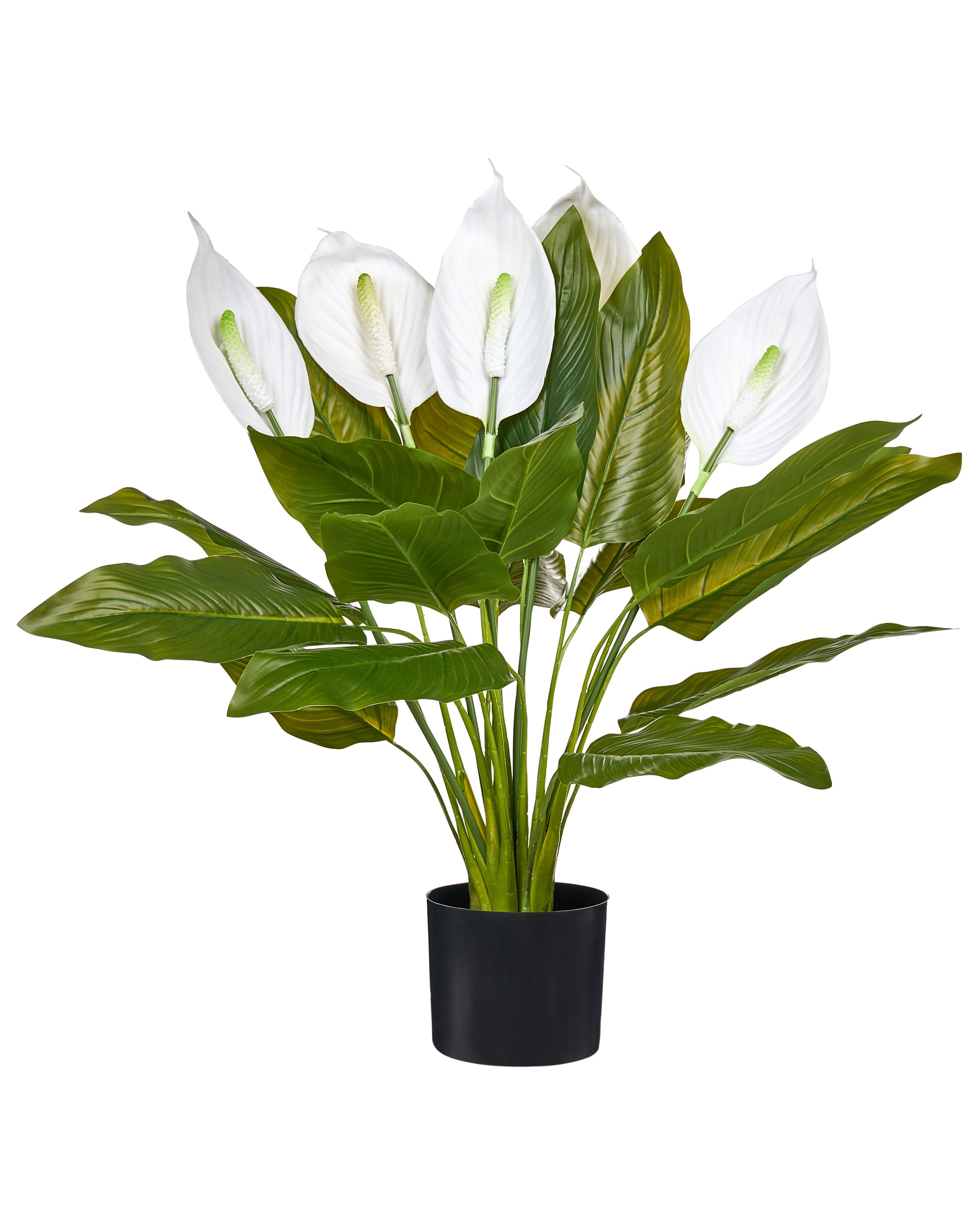Artificial Plant SPATHPHYLLUM 70 cm Green