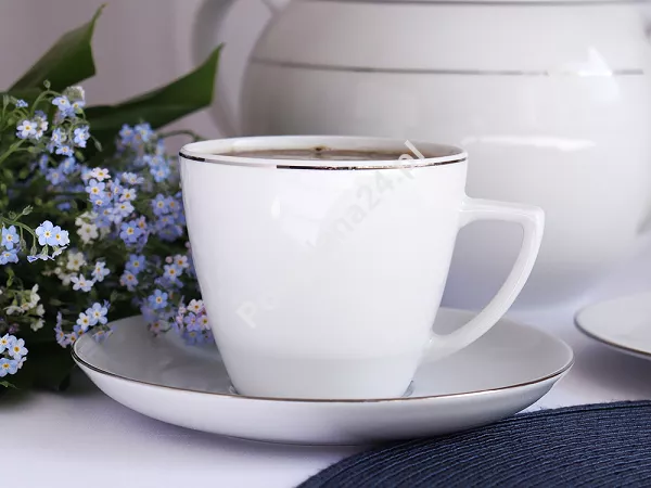 Filiżanka ze spodkiem 0,35 L/18 cm Waza - Modern WA-08P platynowa linia