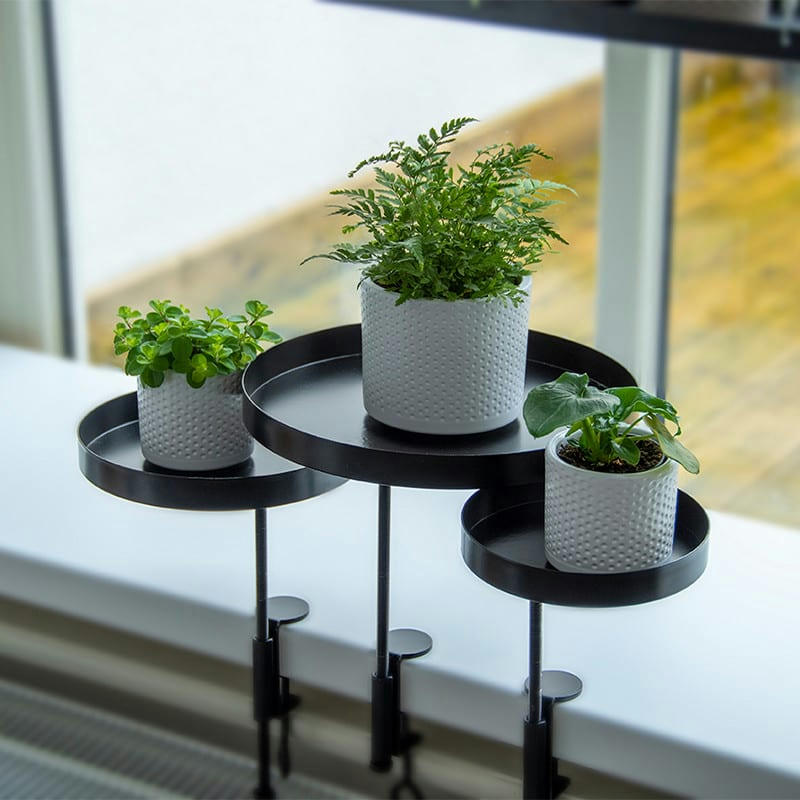 - Lot 2 supports ronds pour plantes 24cm