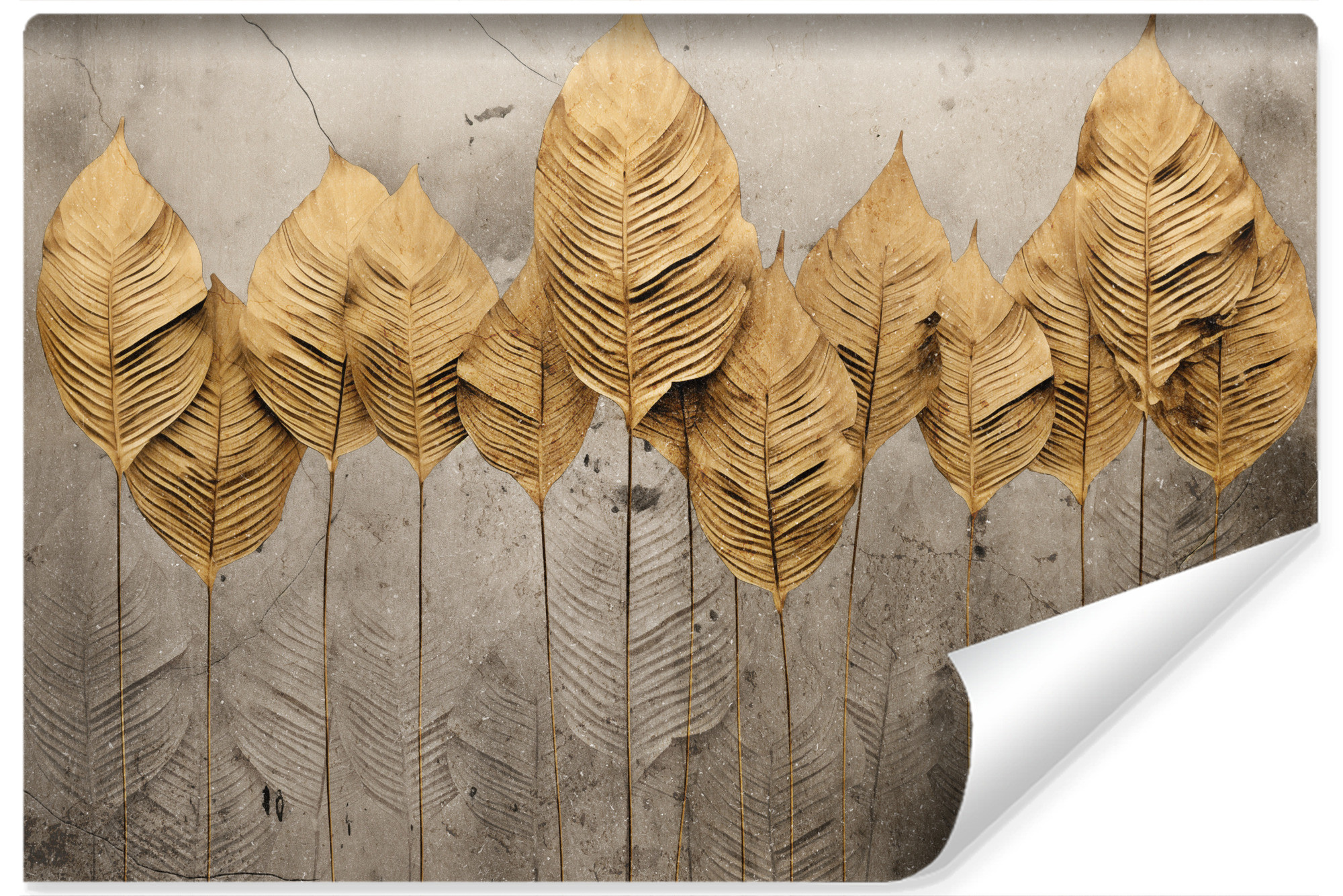 Fototapeta Tropikalne Liście Na Betonie 368x280cm
