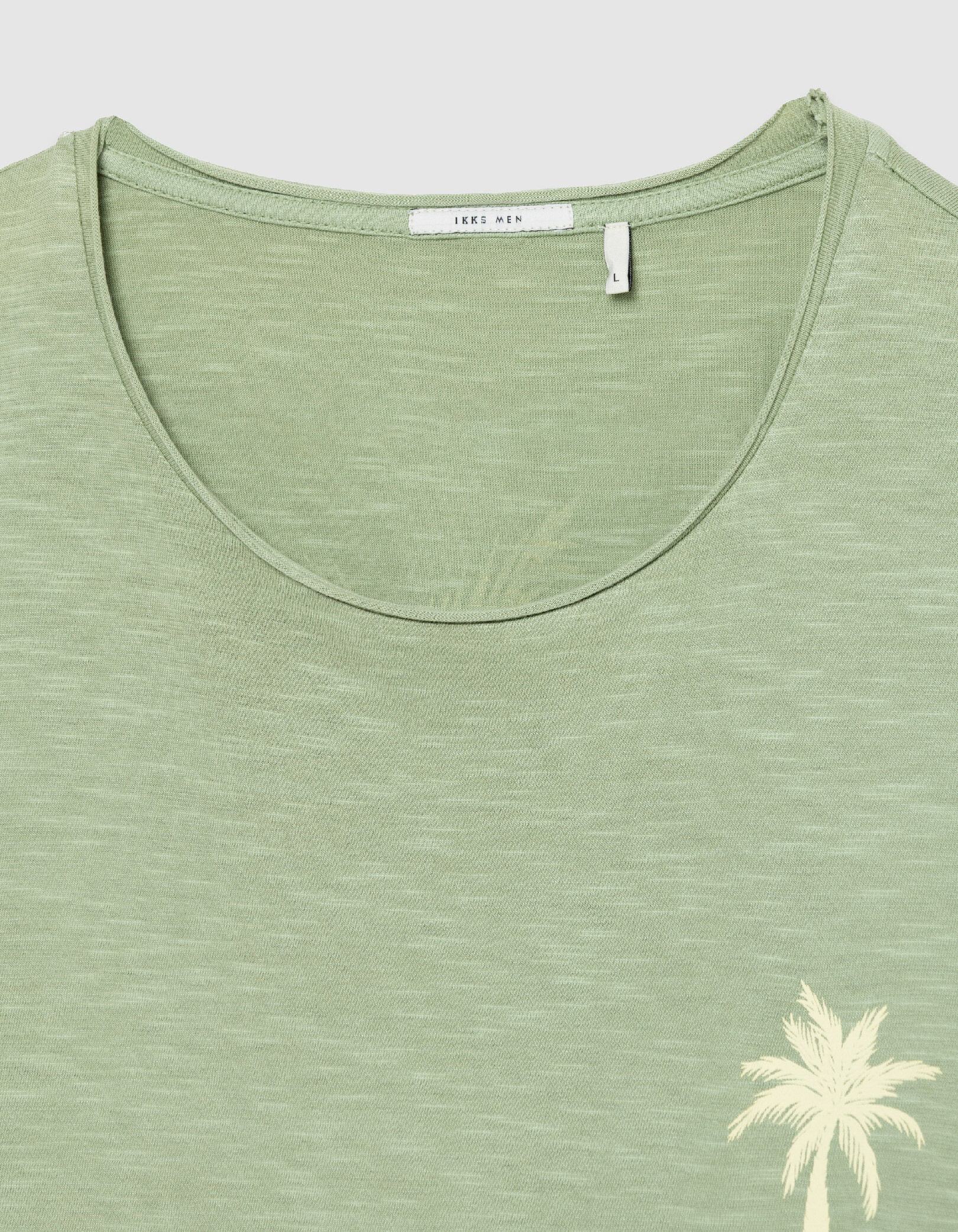 T-shirt col rond vert coton bio visuel palmier Homme