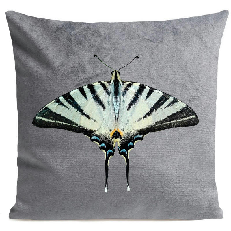 - Coussin papillon velours gris 40x40cm