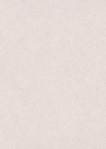 Papier peint vinyle intissé uni beige crème L.1005 x l.53cm, Erismann Flair