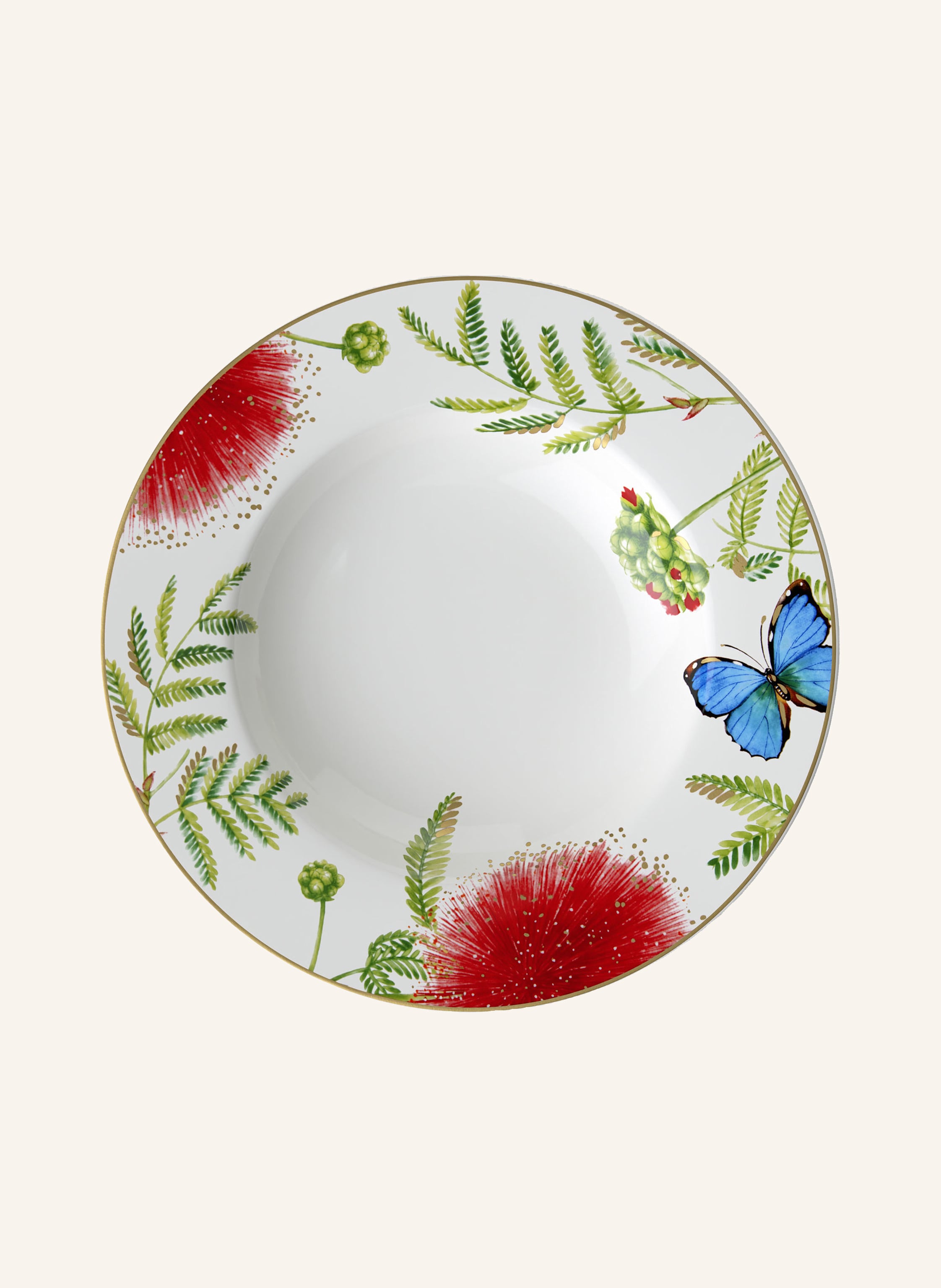 Villeroy & Boch Suppenteller AMAZONIA