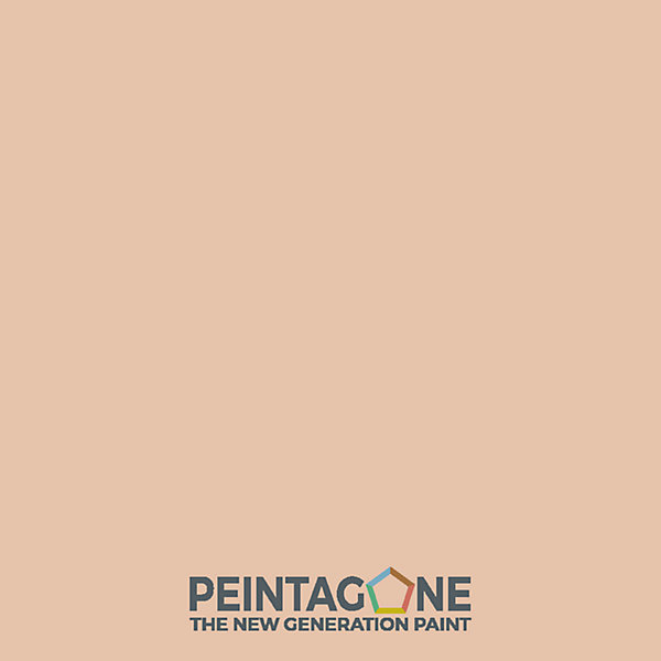 Laque de finition extra résistante pour mur int. &bois - Lak PU Pro Matt, 1 l, California Love (PE098)