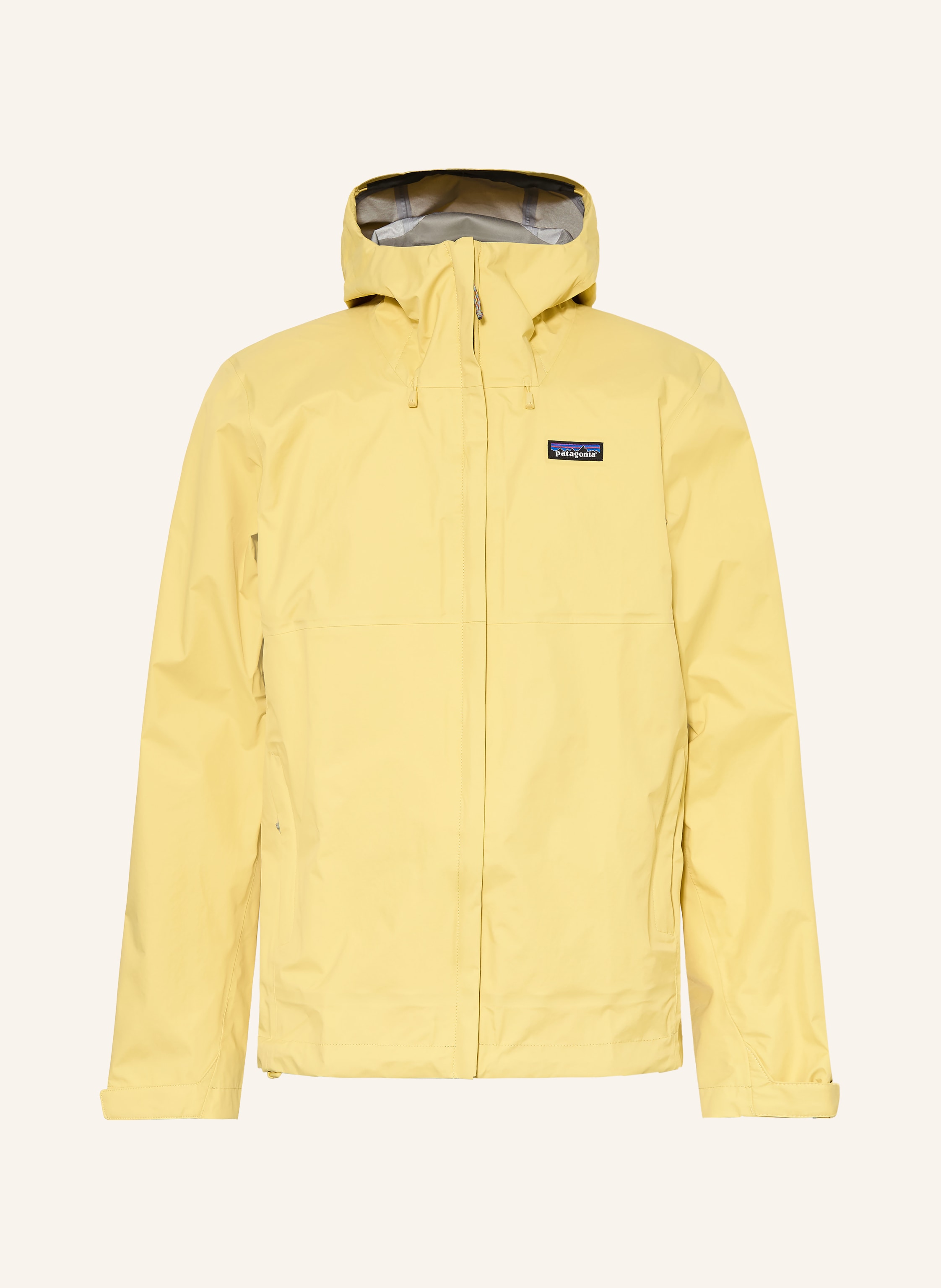 patagonia Funktionsjacke TORRENTSHELL