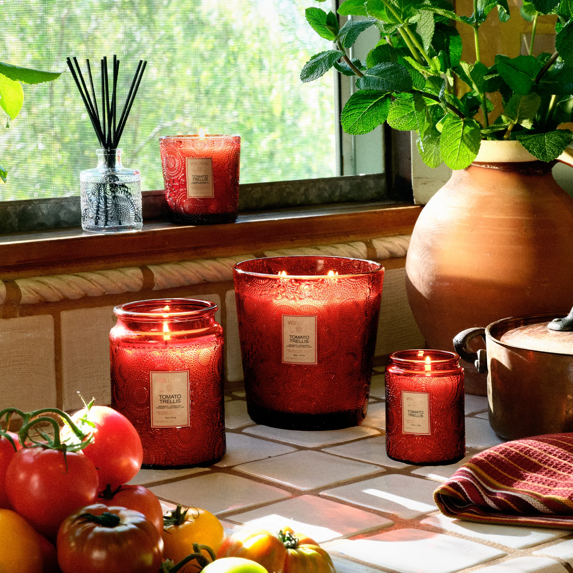 Tomato Trellis - 3 Wick Hearth Candle