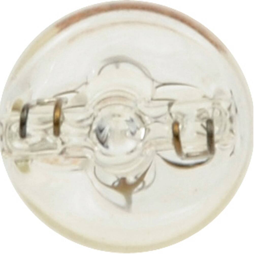 2825 Sylvania Long Life Mini Bulb, 2-pk