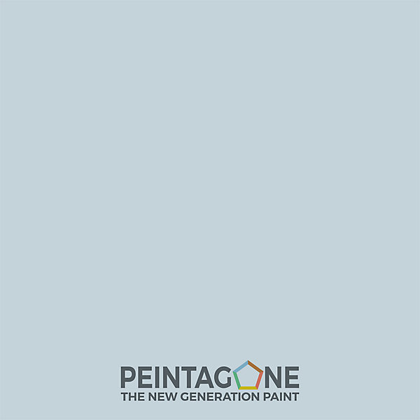Laque de finition extra résistante pour mur int. &bois - Lak PU Pro Gloss, 0,5 l, Littoral (PE080)